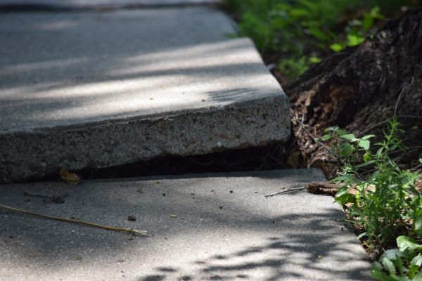 Cost of Sidewalk Leveling in Puyallup